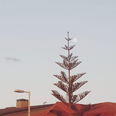 Casa Carmen Διαμέρισμα Pozo Izquierdo Εξωτερικό φωτογραφία